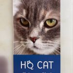 HQ-CAT
